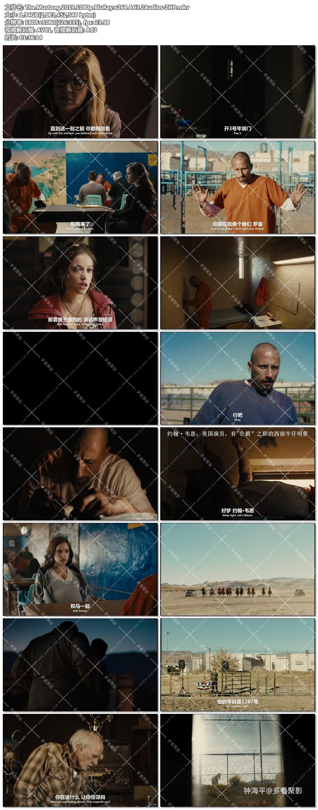 The.Mustang.2019.1080p.BluRay.x264.AC3.2Audios-ZHP.jpg