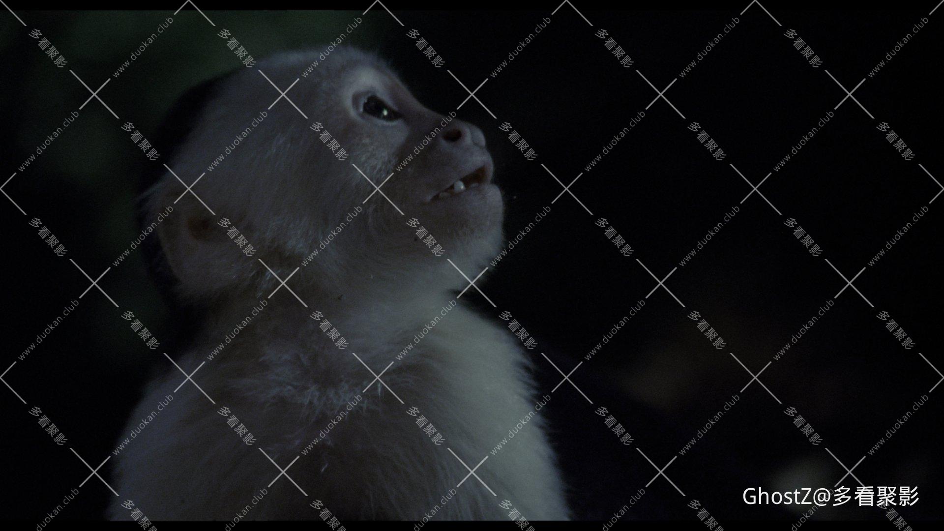 极度恐慌 (1995) [tmdb=6950].mkv_004216.409.png