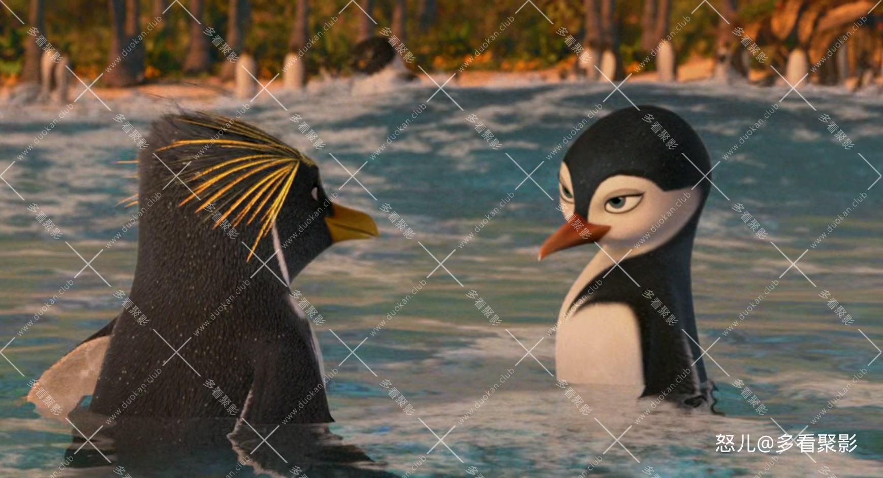 冲浪企鹅1.Surfs.Up.2007.1080p.BluRay.x265.2audio-RARBG.mkv_20260601_154522.088.jpg