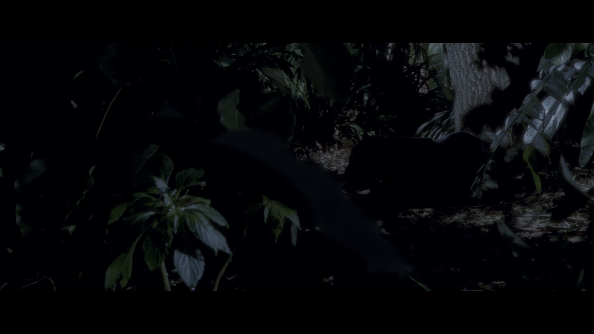狂蟒之灾 (1997) [tmdb=9360].mkv_001541.190.png