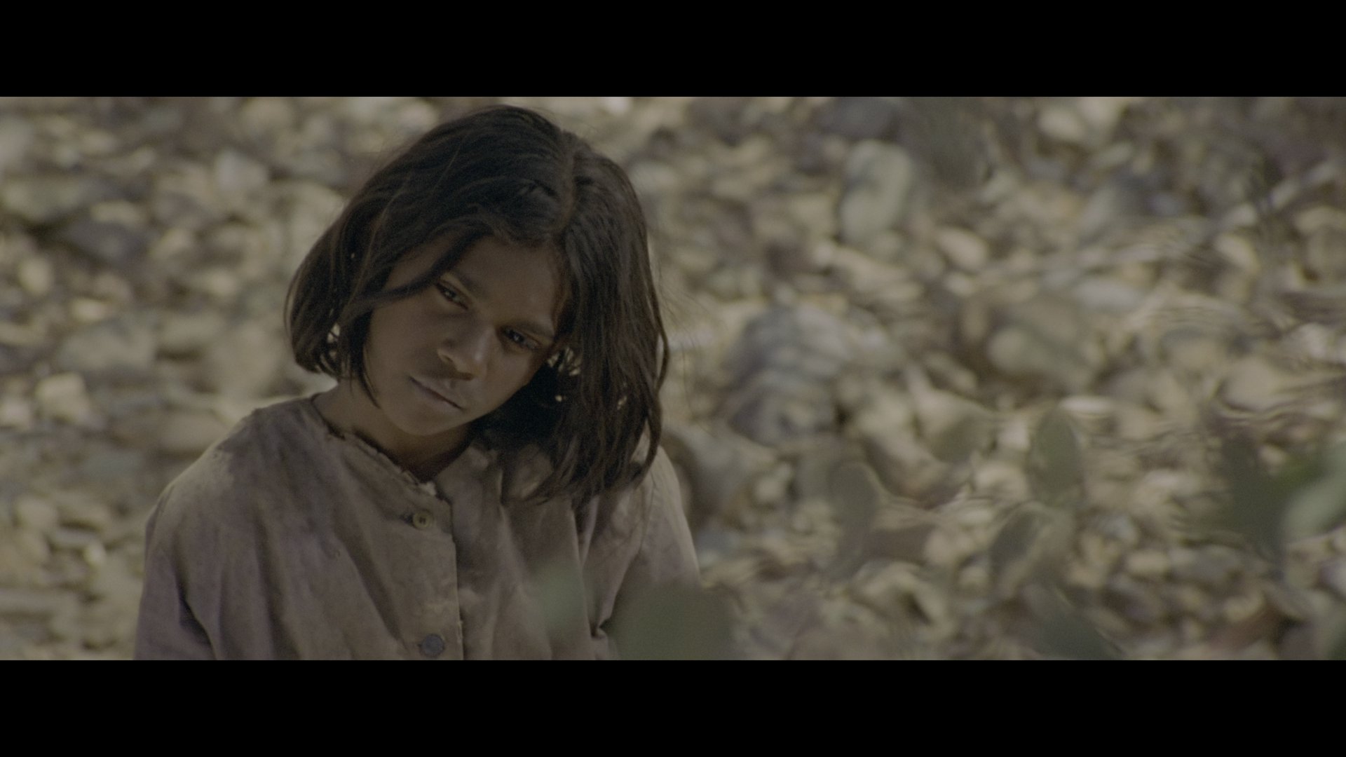 漫漫回家路 (2002) [tmdb=9555].mkv_000239.826.png