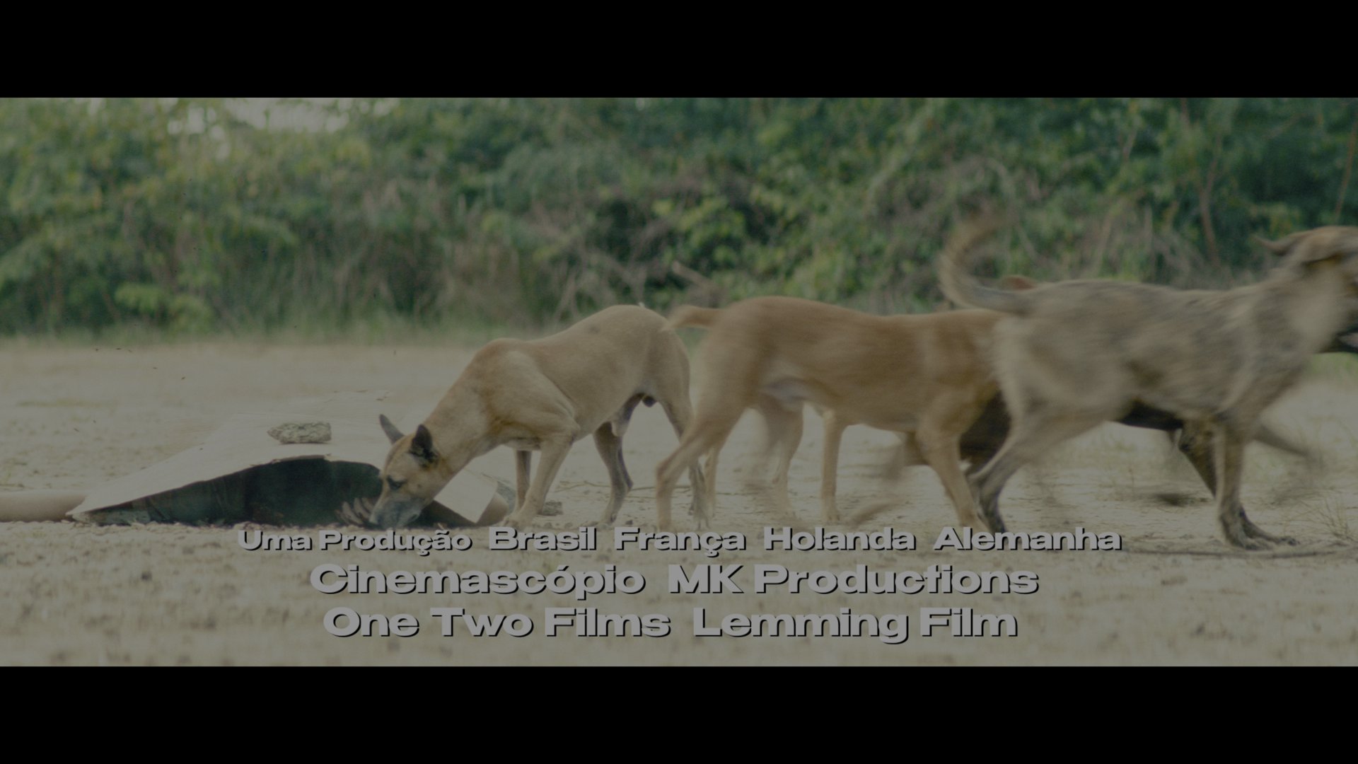 密探 (2025) [tmdb=1220564].mkv_001005.958.png