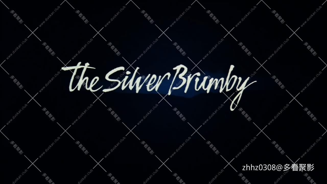 银驹（澳大利亚）The.Silver.Brumby.1993.720p.WEB-DL.H264.国英双语 (1).mkv_2026060.jpg