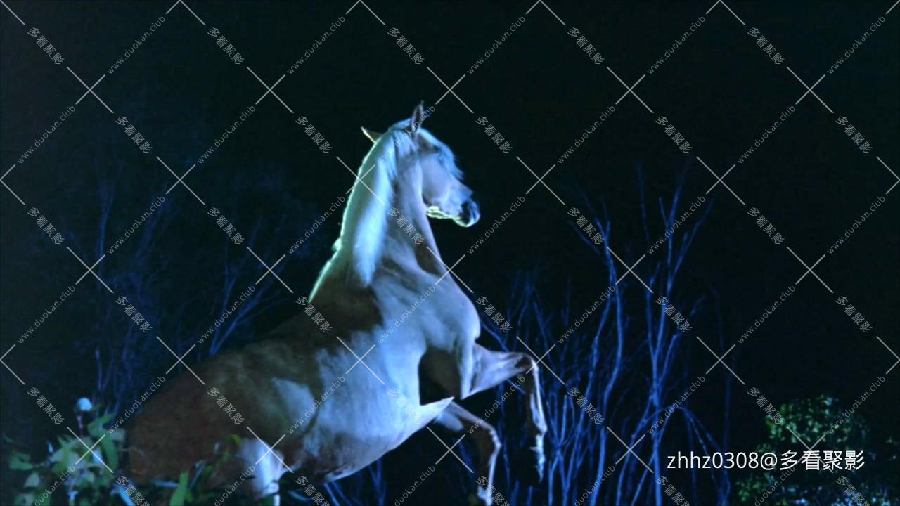 银驹（澳大利亚）The.Silver.Brumby.1993.720p.WEB-DL.H264.国英双语 (1).mkv_2026060.jpg