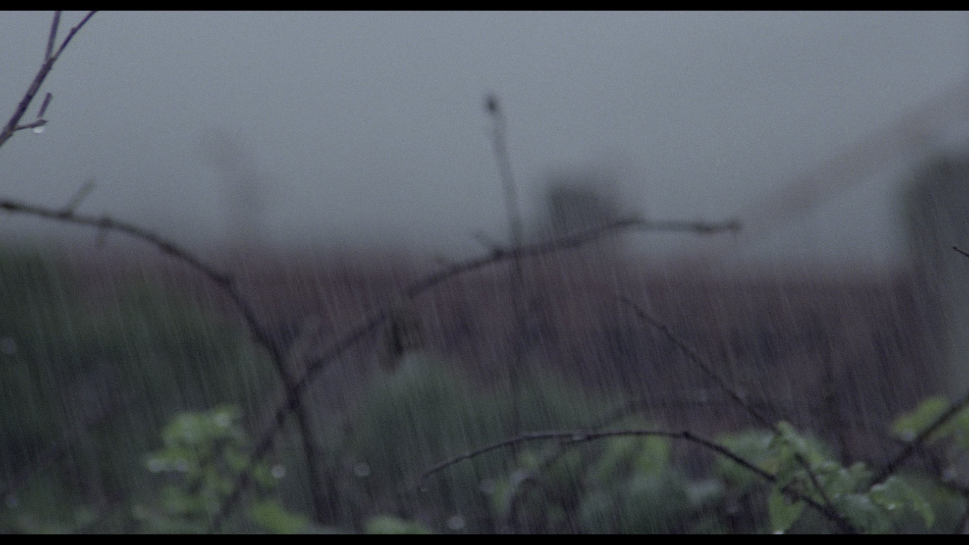 人体异形 (1978) [tmdb=11850].mkv_000236.406.png