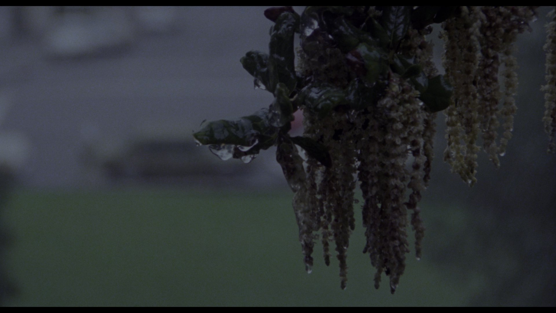 人体异形 (1978) [tmdb=11850].mkv_000344.766.png