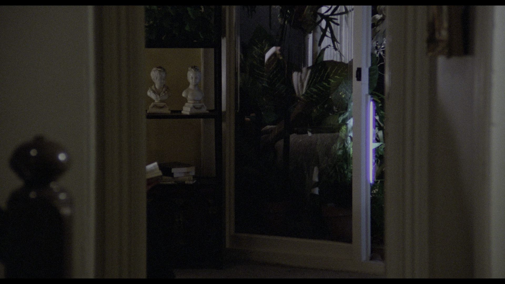 人体异形 (1978) [tmdb=11850].mkv_000647.157.png