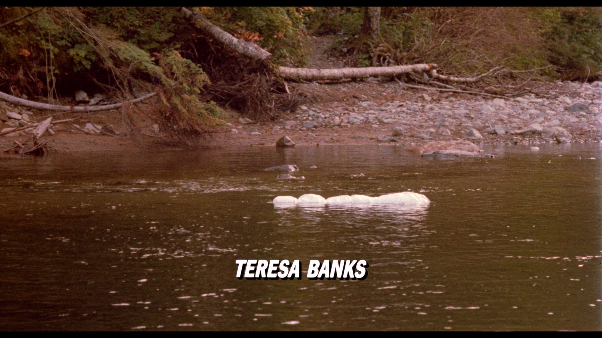 双峰：与火同行 (1992) [tmdb=1923].mkv_000320.530.png