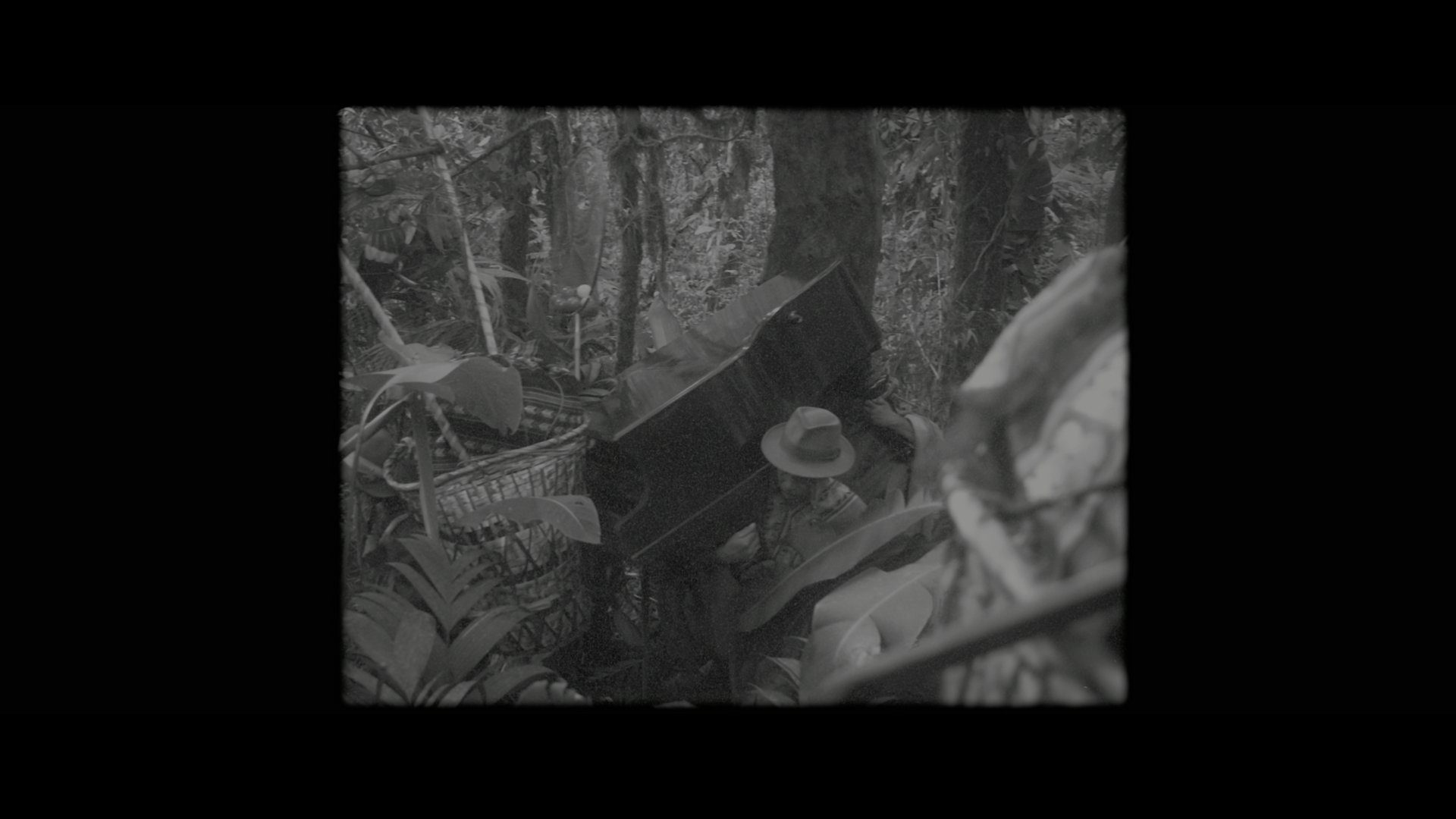 帕丁顿熊 (2014).mkv_000101.000.png