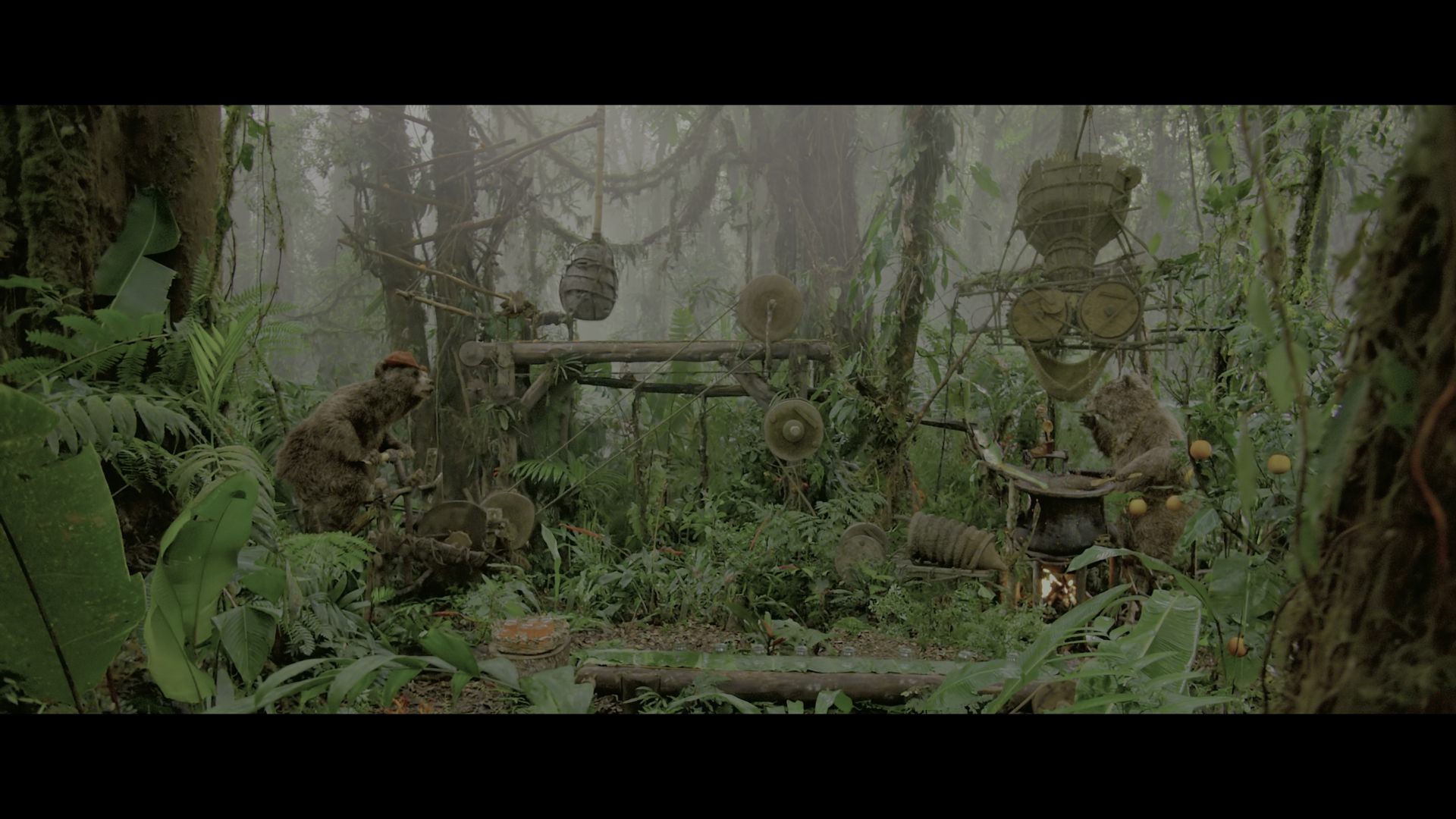 帕丁顿熊 (2014).mkv_000410.142.png