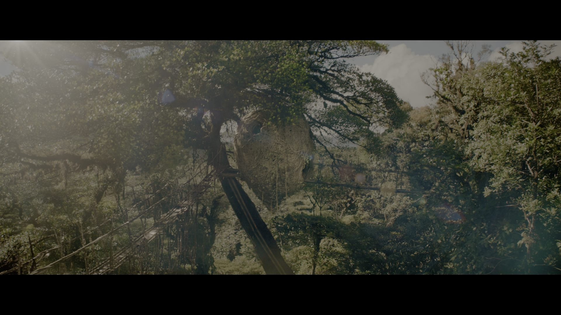 帕丁顿熊3：秘鲁大冒险 (2024).mkv_000309.634.png