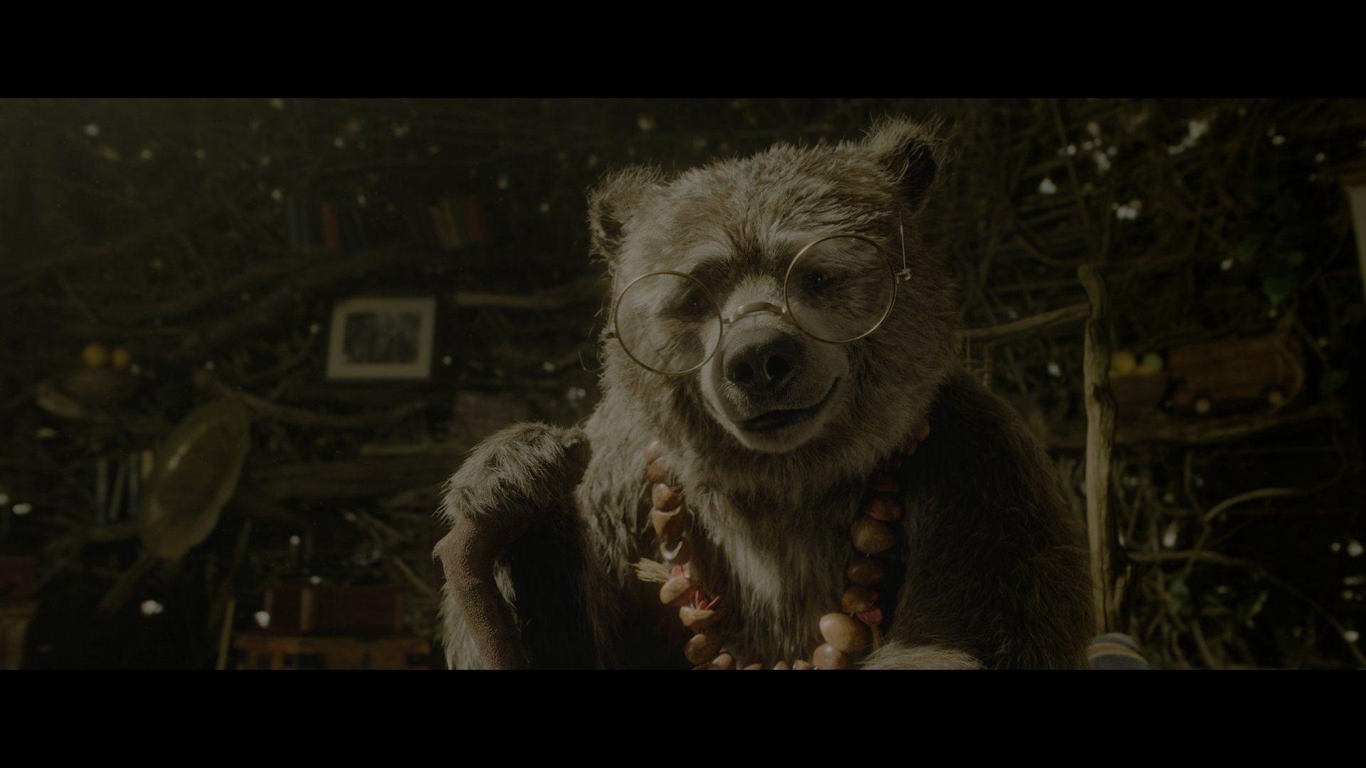帕丁顿熊3：秘鲁大冒险 (2024).mkv_000312.506.png
