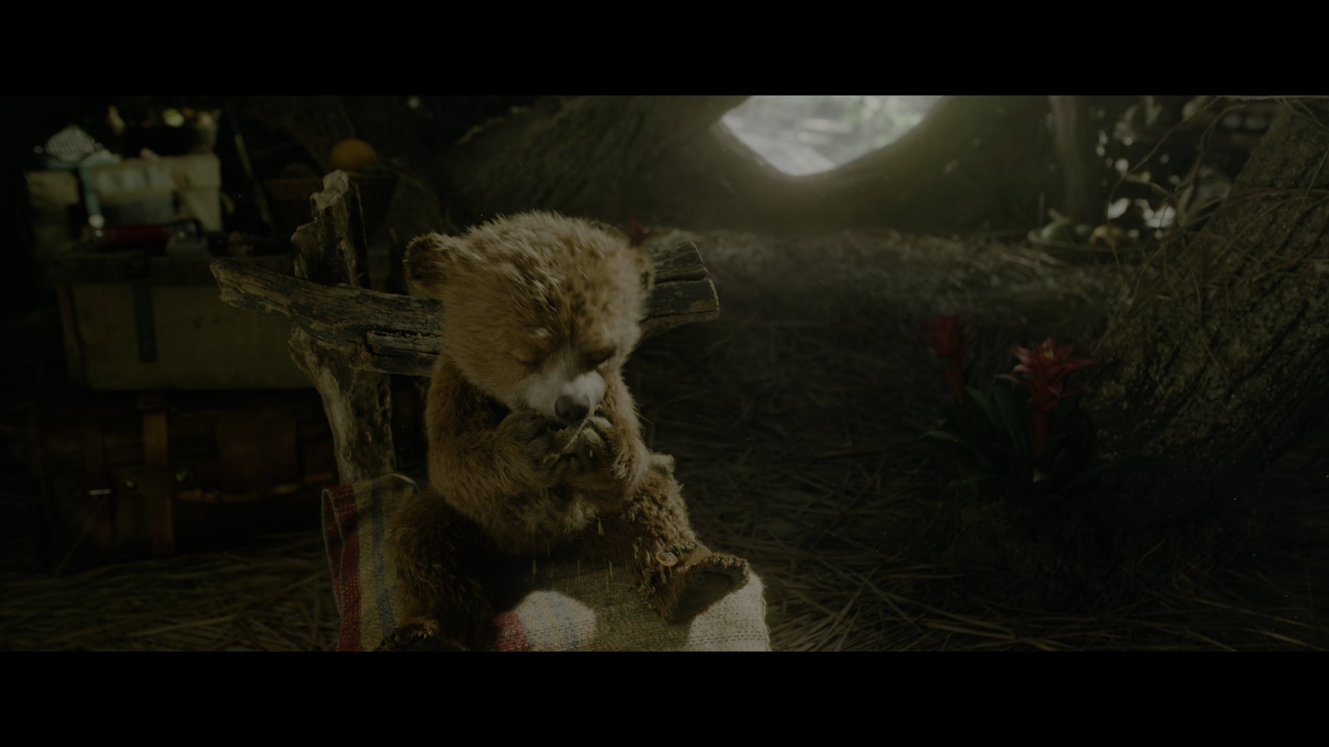 帕丁顿熊3：秘鲁大冒险 (2024).mkv_000315.576.png