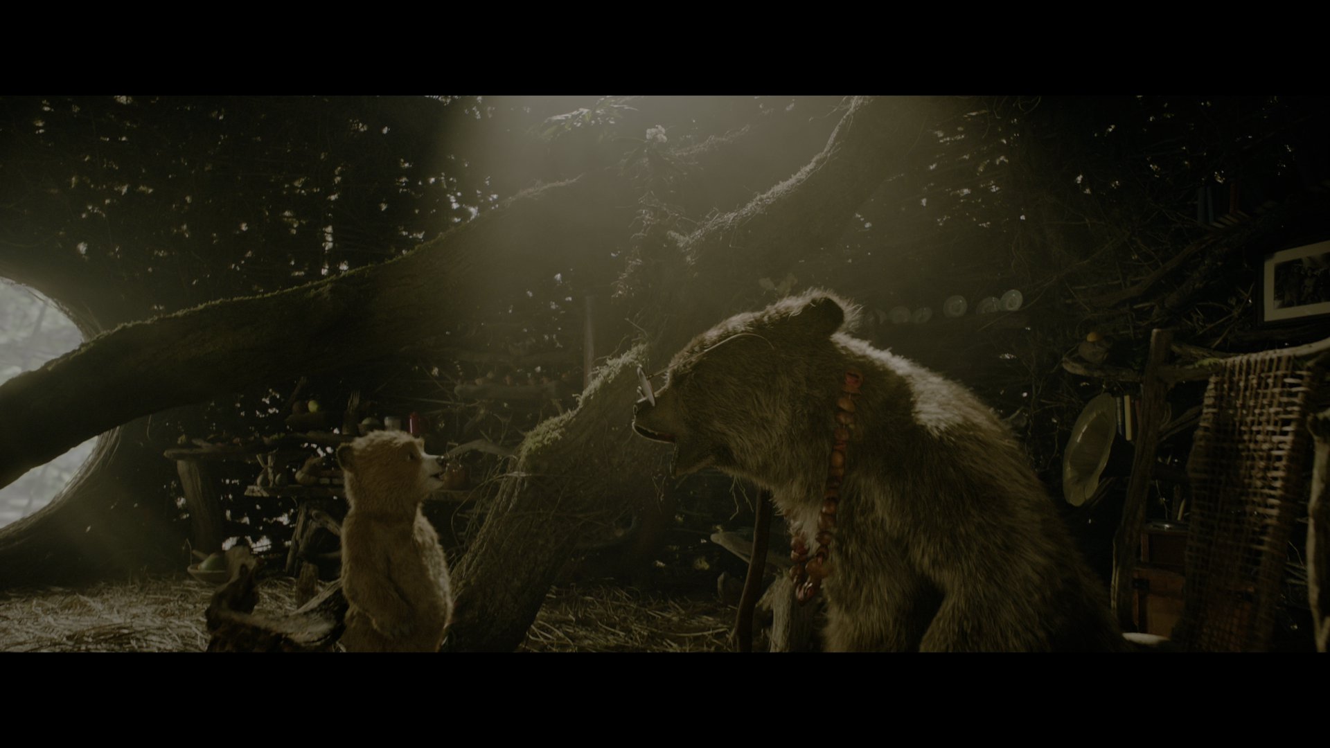 帕丁顿熊3：秘鲁大冒险 (2024).mkv_000339.924.png