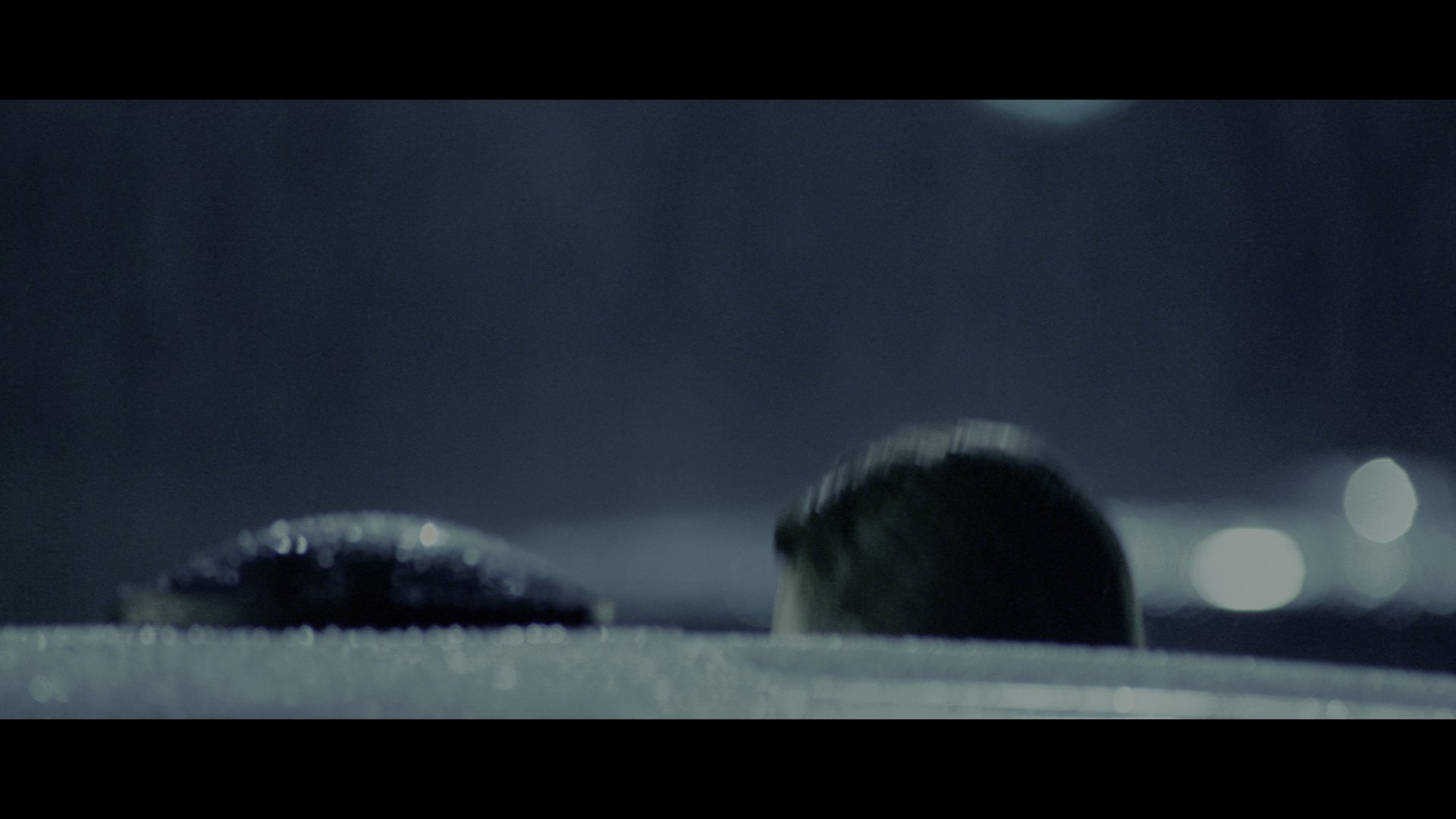 嗜血破晓 (2010) [tmdb=19901].mkv_000510.515.png
