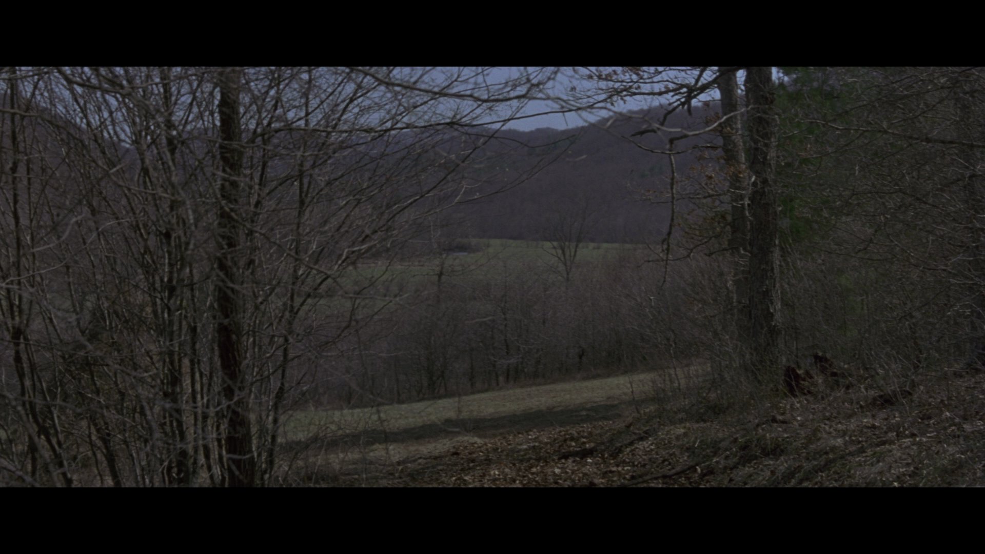似是故人来 (1993) [tmdb=1049].mkv_000352.049.png