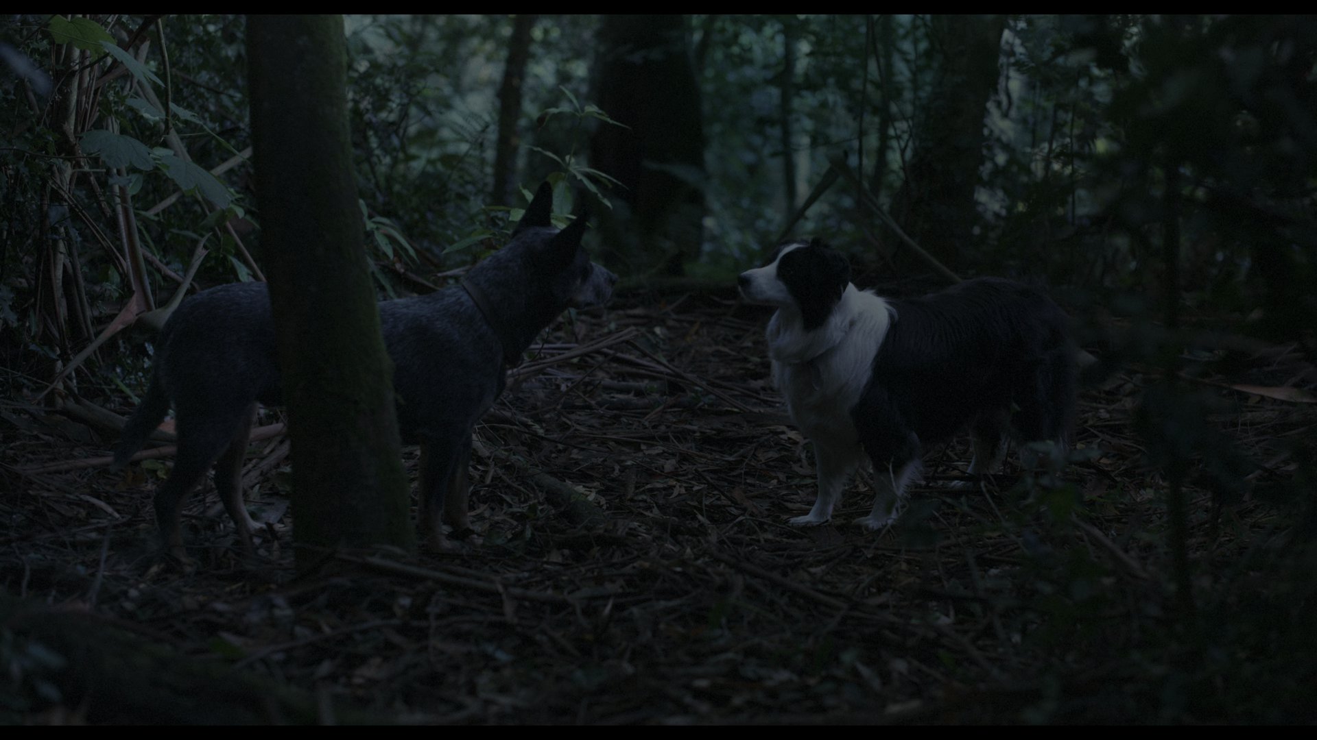 同甘共苦 (2025) [tmdb=1242011].mkv_000316.704.png