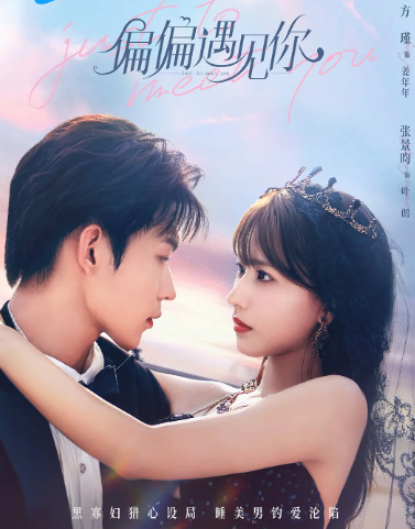 偏偏遇见你.png