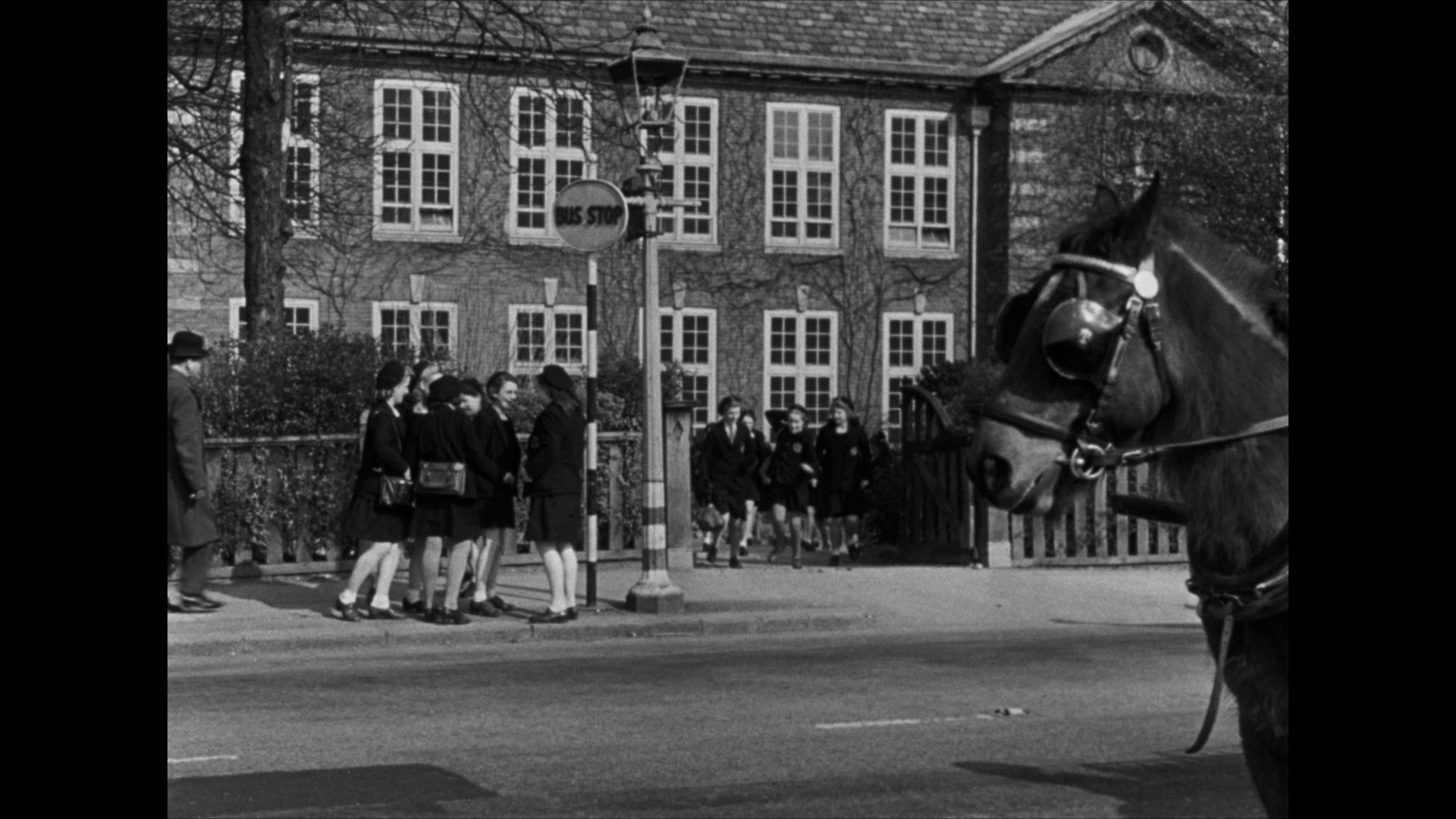 我走我路 (1945).mkv_000231.860.png