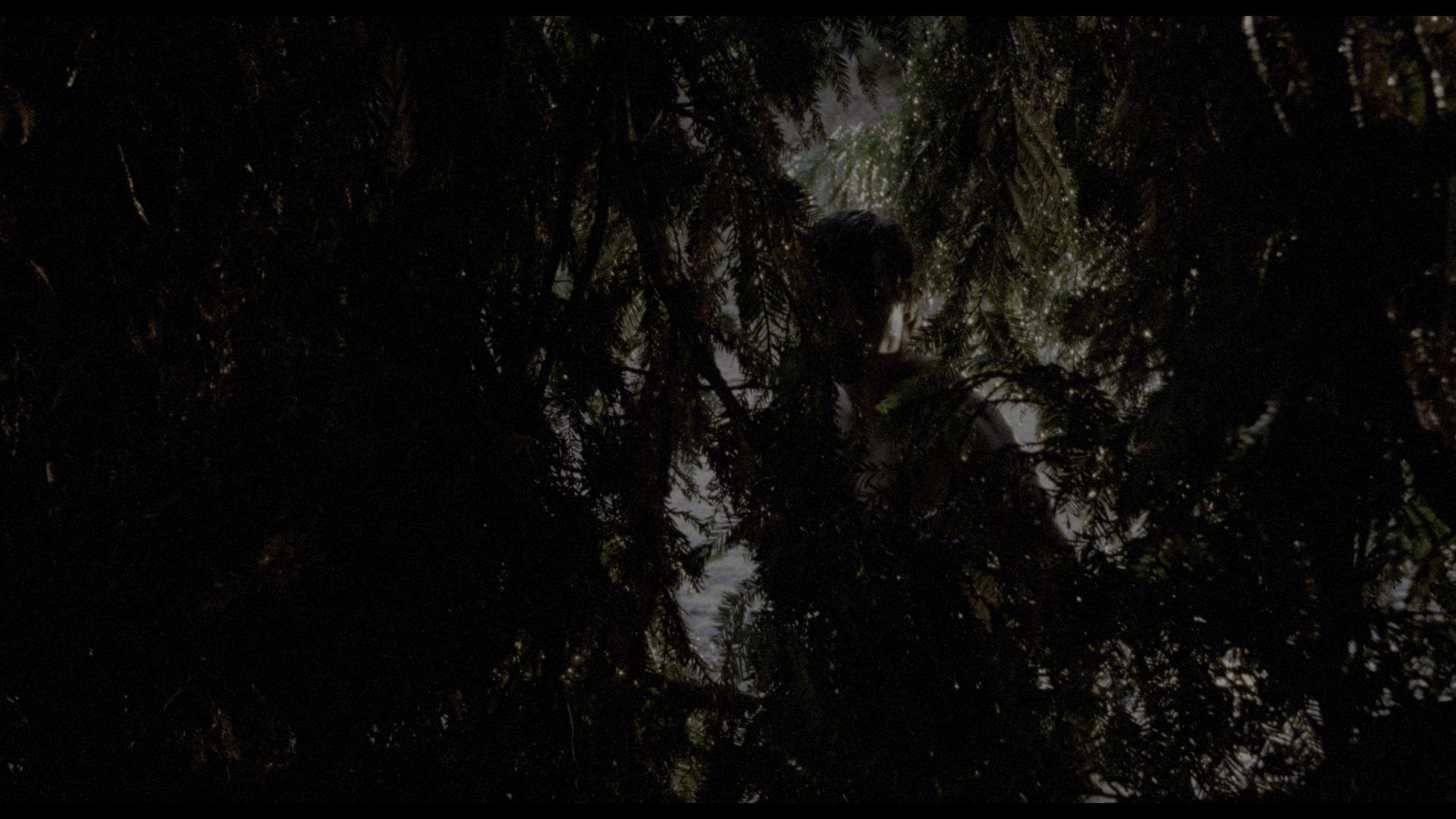 午夜处刑人 (1983) [tmdb=18587].mkv_000925.883.png