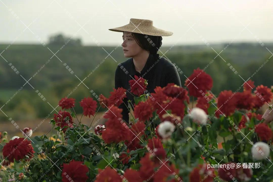 p2896386528.webp.jpg