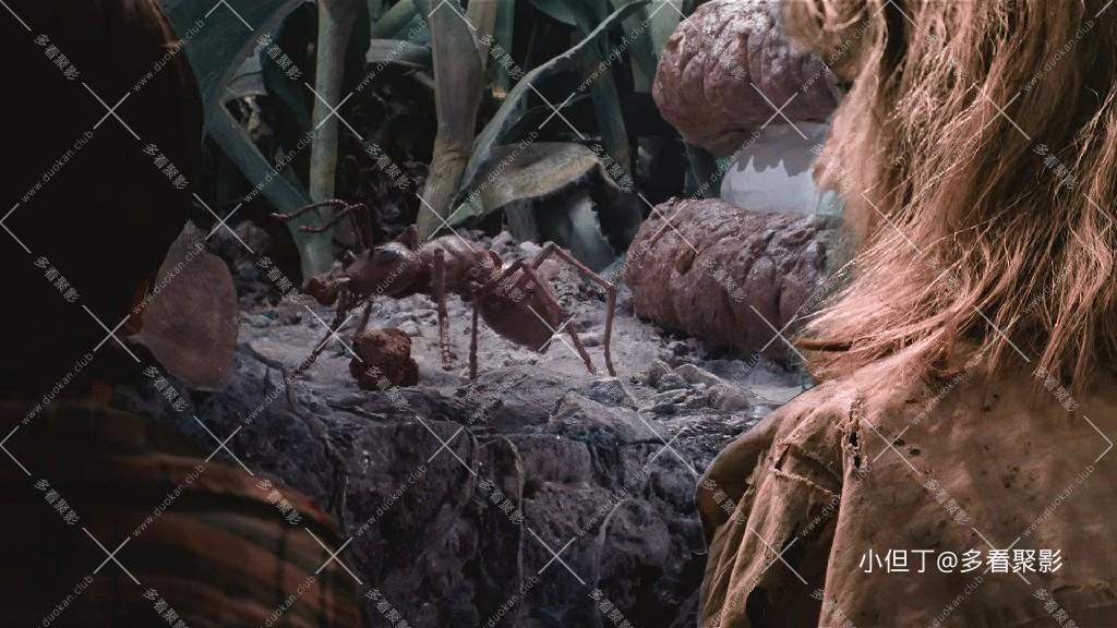 亲爱的，我把孩子缩小了.Honey, I Shrunk the Kids.1989.1080P.BluRay.x265.XDD.mkv_2.jpg