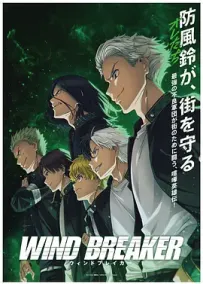 [夸克/123/UC]防风少年.WIND BREAKER.2024.HDRip.1080P.台配繁中[东森电影台][全13集][6G]